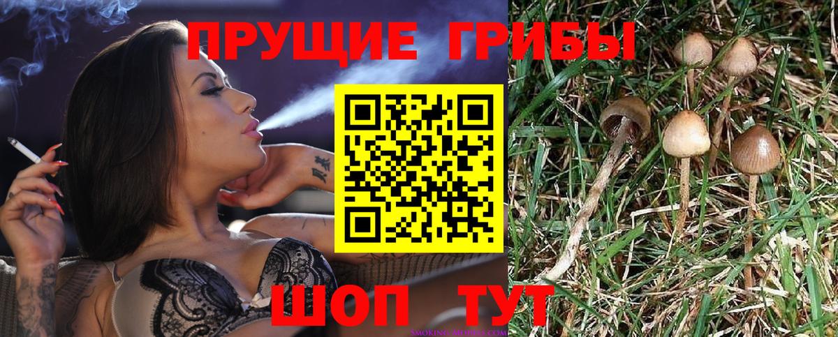 Галлюциногенные грибы прущие грибы  Вход с VPN  Сорочинск  наркотики  Галлюциногенные грибы Magic Shrooms 