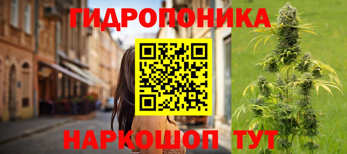 Канабис гибрид Сорочинск